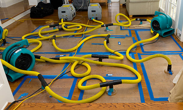 Professional Flood Damage Restoration technician working in Cairo, IL